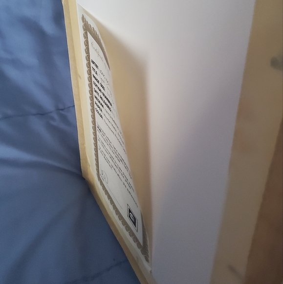 : Long Looi Lee Limited Edition 31/325 hand embellished lithograph just sing - Picture 10 of 16